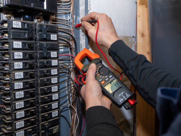 Best Generator Installation Services  in Union Park, FL